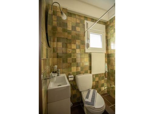 a bathroom with a toilet and a sink at Villa Portitsa in Karditsa