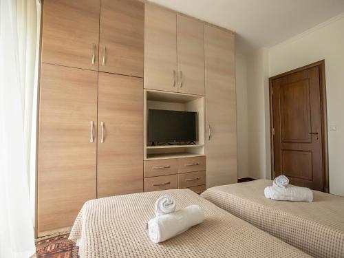 a bedroom with two beds and a tv and cabinets at Villa Portitsa in Kardítsa