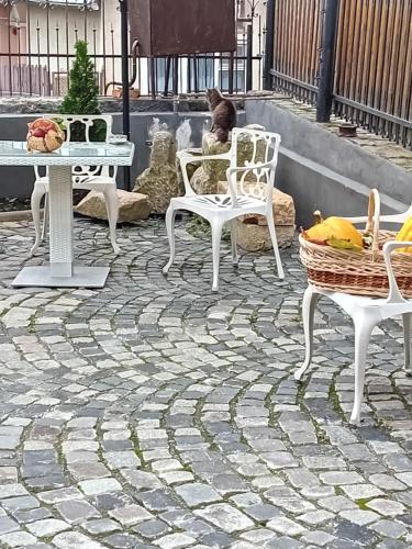 a patio with white chairs and tables and a cat at Casa Continentelor in Cîmpulung