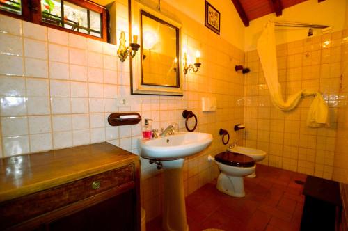 Corsanico-Bargecchia的住宿－The Lemon Place by Nicola Real Estate，一间带水槽和卫生间的浴室