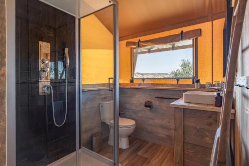 ein Bad mit einer Dusche, einem WC und einem Waschbecken in der Unterkunft Monte Flora Farmhouse in Sardoa