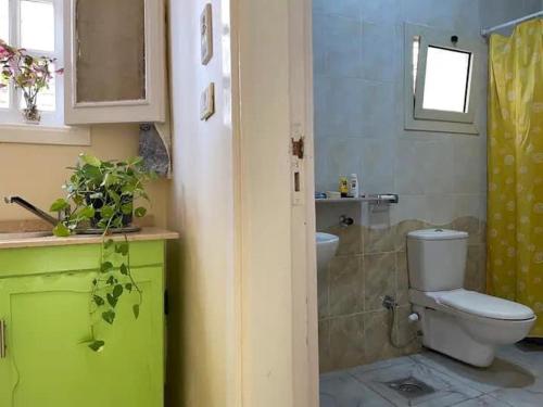 ルクソールにあるGreen homeのバスルーム(トイレ、洗面台、シャワー付)