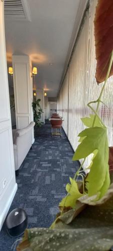 a hallway in a hotel with a plant at My Rezidans Hotel in Manisa