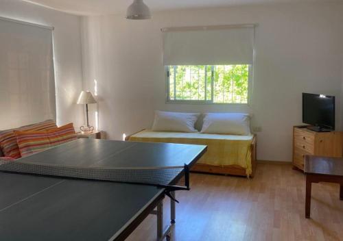 a living room with a bed and a television at Casa POTRERO DE LOS FUNES 2025-2026 in Potrero de los Funes