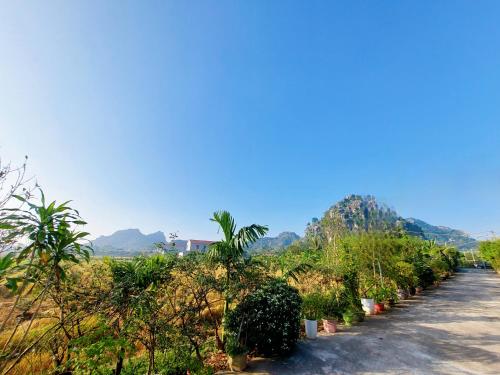 a row of trees and plants on a dirt road at Ninh Binh Green Farmstay in La Phù