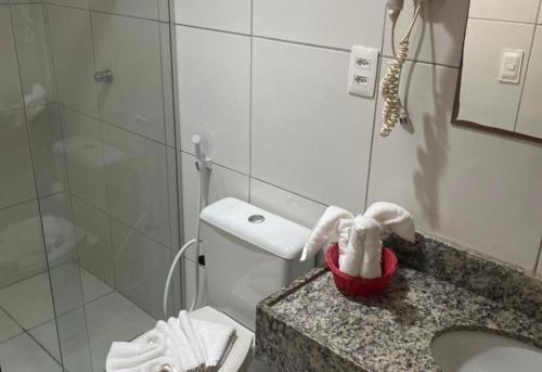 フォルタレザにあるHotel Fortaleza Innのトイレ、洗面台、シャワー付きのバスルーム