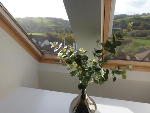 a vase with flowers in it in front of a window at Valley House in Exeter