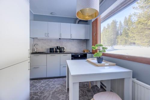 Holiday Apartment Usva Studio IIにあるキッチンまたは簡易キッチン