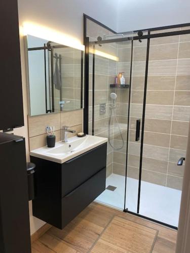 une salle de bain avec un lavabo et une douche dans l'établissement Superbe Appartement atypique, à Bouleternère