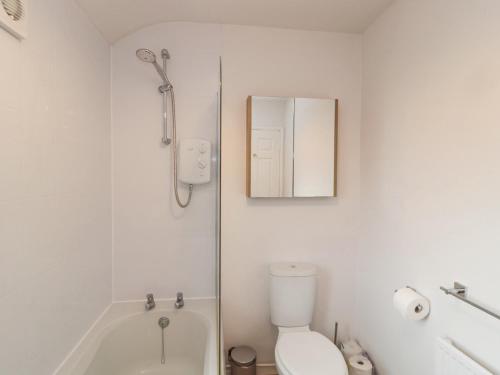 a bathroom with a shower and a toilet and a mirror at 60B Castlegate in Berwick-Upon-Tweed