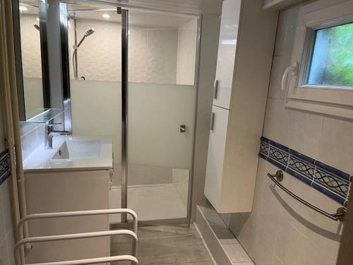 une salle de bain avec douche et lavabo dans l'établissement Le Puits du Village, à Mont-Saint-Aignan