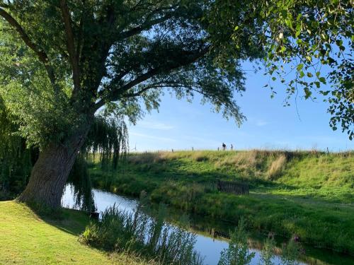 Dutch Farmhouse – Photos 5