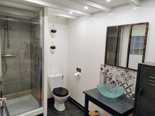 a bathroom with a shower and a toilet and a sink at LA PETITE MAISON in Beauvais