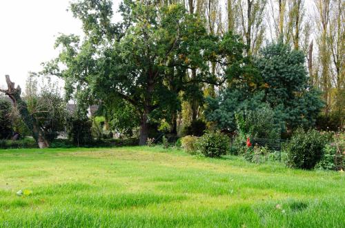 a green field with a tree in the background at Casa Adam's in Saint-Jean-le-Thomas