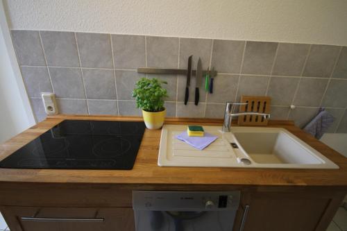 a kitchen counter with a sink and a chopping board at JS Feriendomizile: FeWo Nest in Schierke