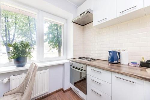 Dapur atau dapur kecil di Pušyno Apartment 1