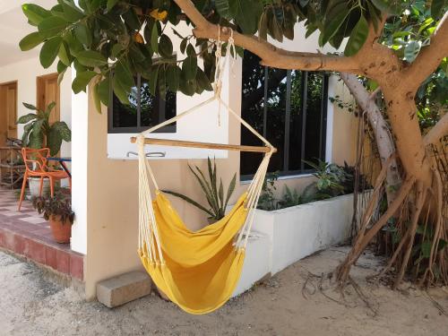 a yellow hammock hanging from a tree outside a house at Mon paradis in Saint-Louis