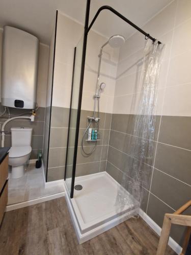 a bathroom with a shower and a toilet at T2 Cap d'agde centre port in Cap d'Agde