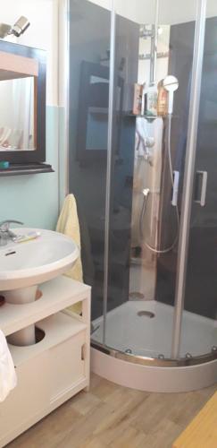 une salle de bain avec douche et lavabo dans l'établissement Joli appartement vue sur mer, à Cannes