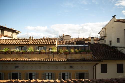 Stella d'Italia photo 68