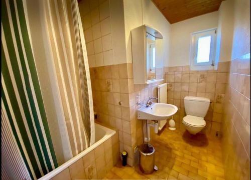 ein Bad mit einem WC, einem Waschbecken und einer Dusche in der Unterkunft Appartement in Couvet