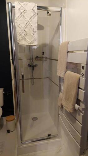 une douche avec une porte vitrée dans une salle de bain dans l'établissement Appartement cozy en face de la gare - Saint-Brieuc, à Saint-Brieuc