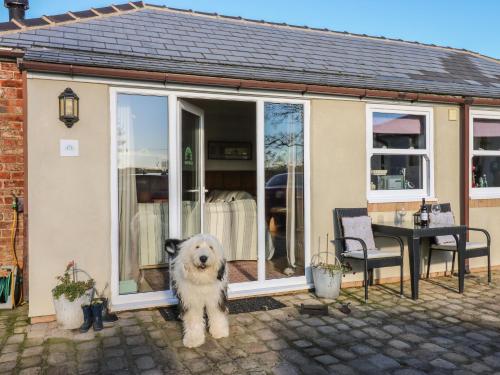 a white dog standing in front of a house at Grace's Retreat in Darlington