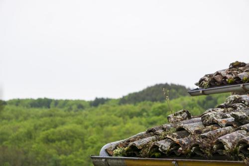 a pile of moss on the roof of a building at Tenute Valerio in Campana