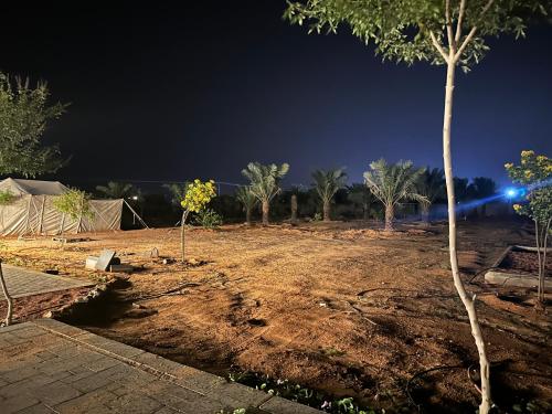 een tuin 's nachts met bomen en lichten bij مزرعة الخير 