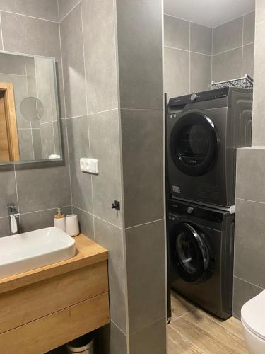 a bathroom with a washing machine next to a sink at Apartmán v Kašperských Horách in Kašperské Hory