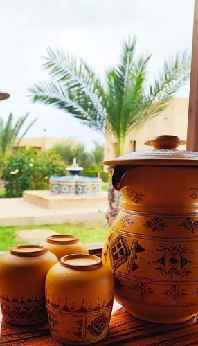 Jardín al aire libre en Riad Dar Chenguiti