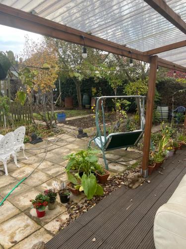 a garden with a greenhouse and a bench and plants at Seaside resort in Felixstowe