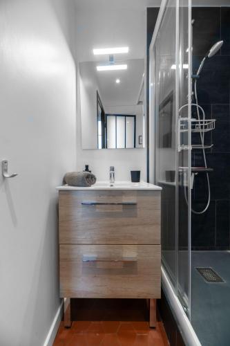 une salle de bain avec un lavabo et une douche dans l'établissement Le Clem - Appartement centre ville - Idéal Cure et Parcs, à Vichy