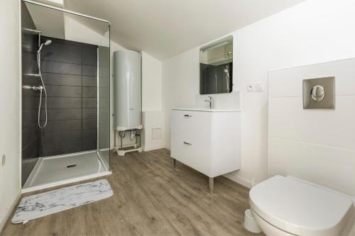 une salle de bain blanche avec douche et toilettes dans l'établissement LE DALLAS - 1 chambre, 1 canapé-lit, 1er étage, parking, 10min Canal du Midi, à Castelsarrasin