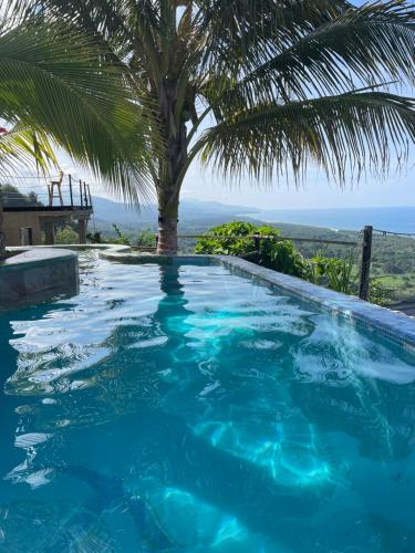 a swimming pool with a palm tree in the background at Puerto Alto Hostel in Santa Marta