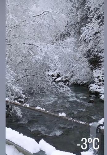 Aparthotel Mountain River Resort durante el invierno