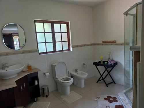 a bathroom with a toilet and a sink and a mirror at Forest Dream House in Kloof
