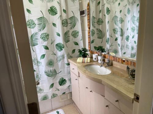 uma casa de banho com um lavatório e uma cortina de chuveiro em Casa del Arce em Puerto Varas