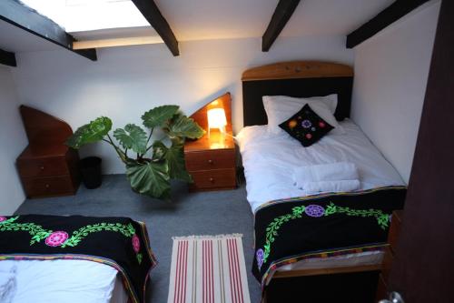 1 dormitorio con 2 camas, lámpara y planta en Departamento súper comodo, en Cusco