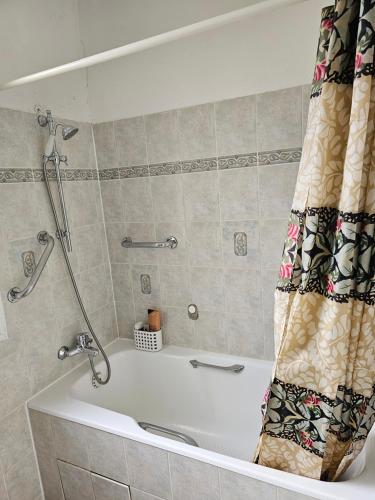 une baignoire avec un rideau de douche dans une salle de bain dans l'établissement Appartement pour 1à 4 personnes sans cuisine, à Alfortville