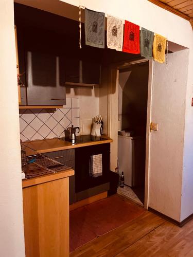 Kjøkken eller kjøkkenkrok på Private room in innerstadt graz