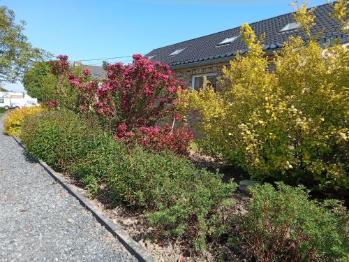 a row of flowers in front of a house at Côté Jardin in Buvrinnes