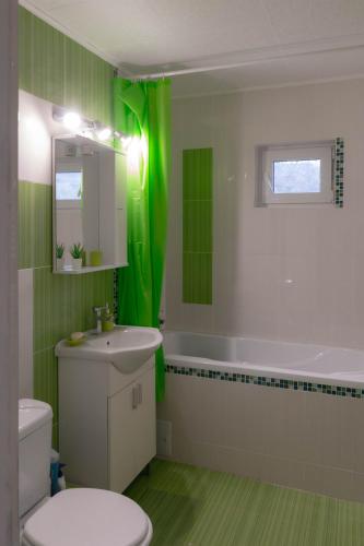 a green bathroom with a toilet and a sink at TheRefuge in Curtea de Argeş