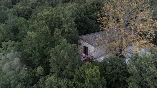 Gallery image of il cannito in Capaccio-Paestum