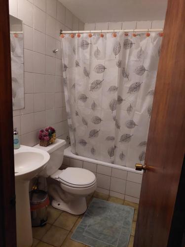 a bathroom with a toilet and a shower curtain at Apart Rayen in Los Ángeles