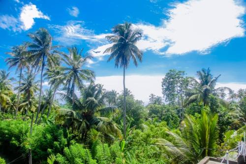 a group of palm trees in the jungle at Seyoo Villa in Ahangama