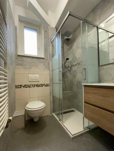 une salle de bain avec toilettes et douche en verre dans l'établissement Appartement T3 très calme - Le Bartholdi - Centre de Colmar, à Colmar
