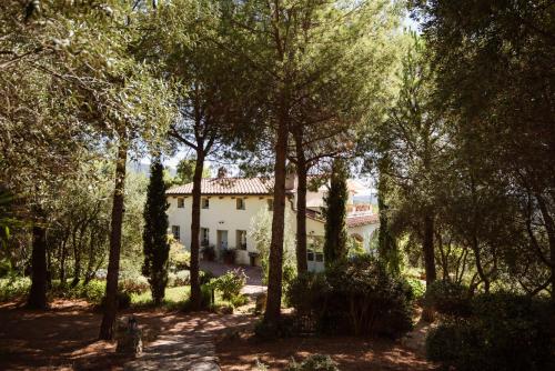 a house in the middle of a forest at Boutique Hotel Poggio ai Santi - Adults Only in San Vincenzo