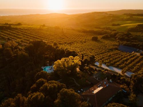 an aerial view of a vineyard and a house in the sunset at Boutique Hotel Poggio ai Santi - Adults Only in San Vincenzo