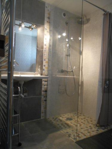une salle de bain avec douche et lavabo dans l'établissement Gîte avec jacuzzi privatif dans un mas provençal, à Les Fumades-Les Bains